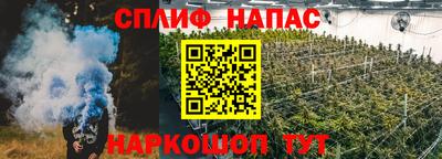 СК Будённовск